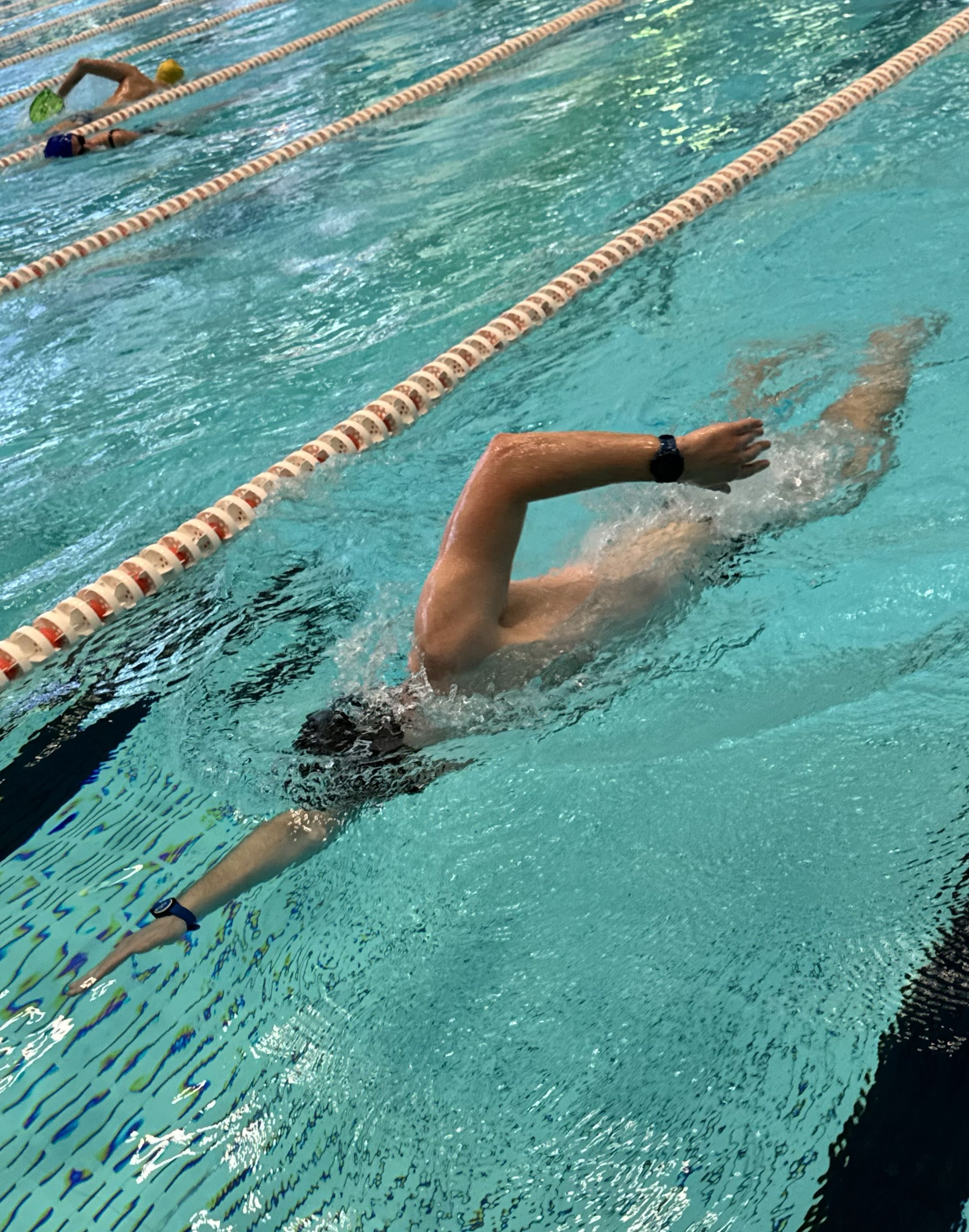 Pływanie kraulem — Swim Shark